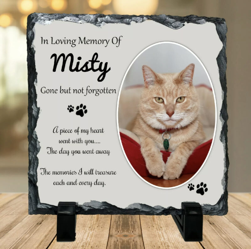 Animal Memory Photo Slate